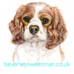Cavalier King Charles Spaniel painting Cavalier King Charles Spaniel painting